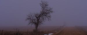 Превью обои пейзаж, туман, дерево, дорога, зима, снег, природа