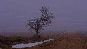 Превью обои пейзаж, туман, дерево, дорога, зима, снег, природа
