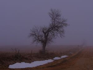 Превью обои пейзаж, туман, дерево, дорога, зима, снег, природа