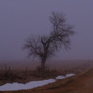 Превью обои пейзаж, туман, дерево, дорога, зима, снег, природа