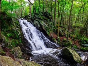 Превью обои пейзаж, водопад, вода, камни, природа