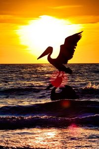 Превью обои пеликан, аист, пейзаж, море, полет, закат