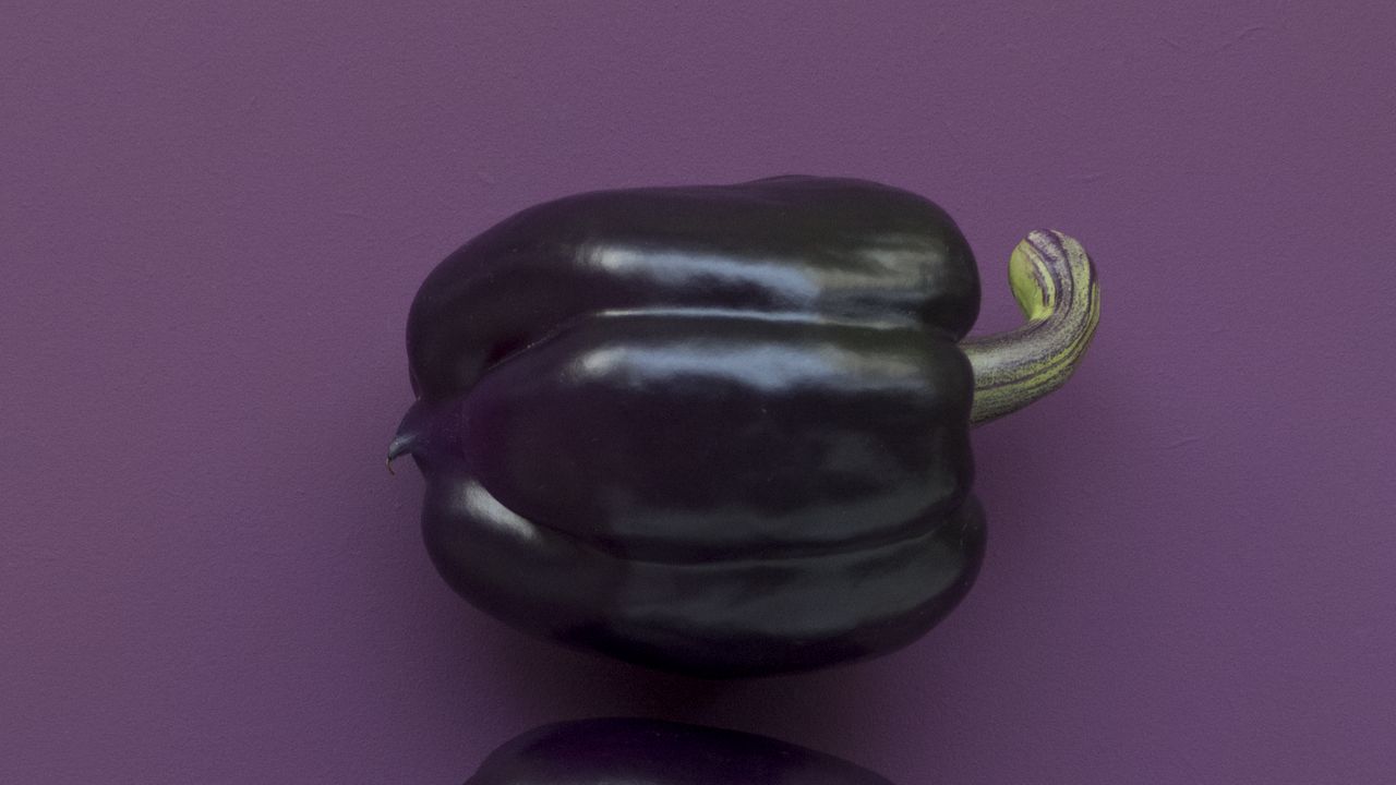 Обои перец, овощ, фиолетовый