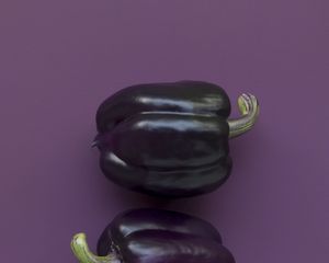 Превью обои перец, овощ, фиолетовый