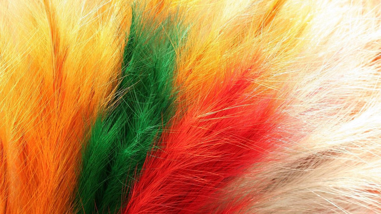 Обои перья, мех, разноцветный