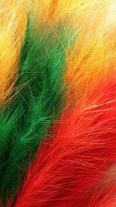 Превью обои перья, мех, разноцветный