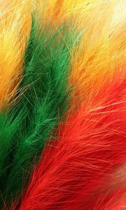 Превью обои перья, мех, разноцветный