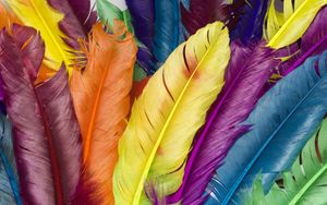 Превью обои перья, разноцветный, яркий, красочный
