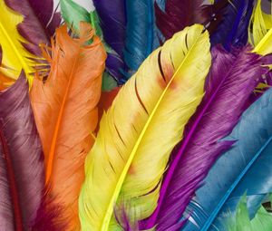 Превью обои перья, разноцветный, яркий, красочный