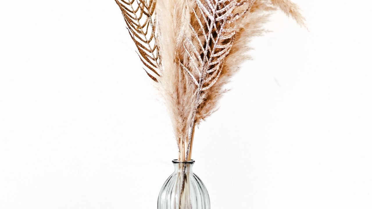 Обои перья, ваза, минимализм, букет