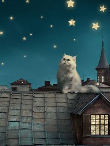 Превью обои персидские белый кот, котенок, сказка, фэнтези, крыши, дома, небо, ночь, звезды, луна