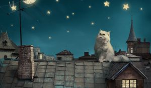 Превью обои персидские белый кот, котенок, сказка, фэнтези, крыши, дома, небо, ночь, звезды, луна