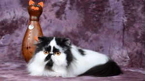 Превью обои персидский кот, статуэтка, кот, пятнистый