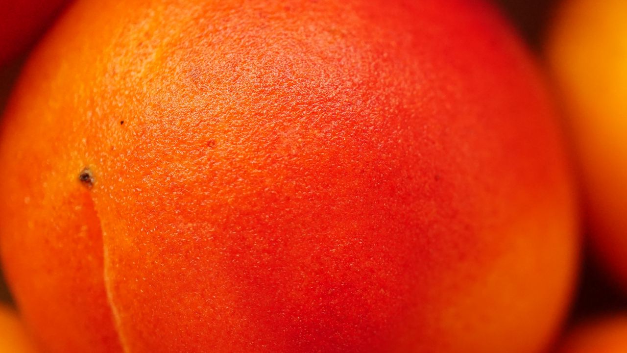 Обои персик, фрукт, оранжевый, макро