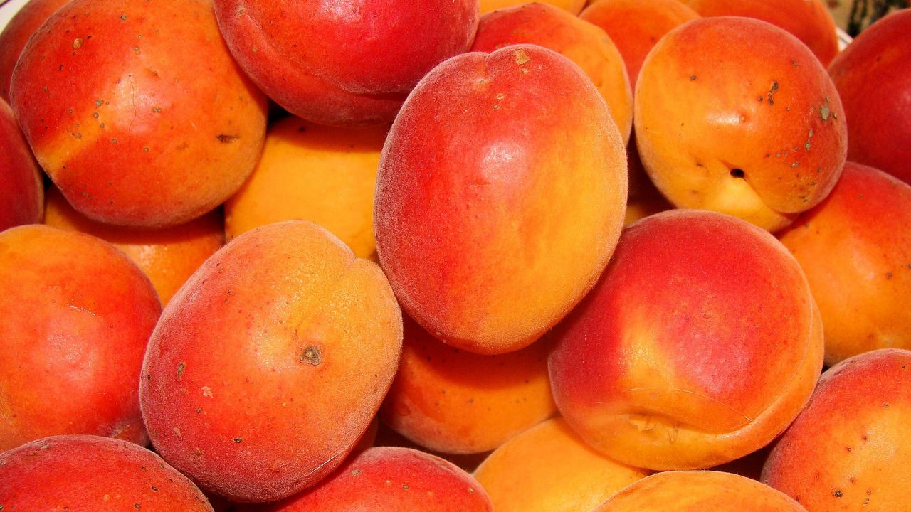 Обои персики, абрикосы, спелый, вкусно, фрукты