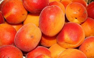 Превью обои персики, абрикосы, спелый, вкусно, фрукты