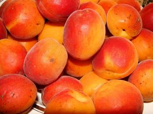 Превью обои персики, абрикосы, спелый, вкусно, фрукты