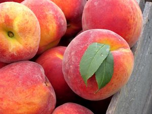 Превью обои персики, фрукты, ящик, листья, свежие
