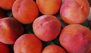 Превью обои персики, фрукты, спелый