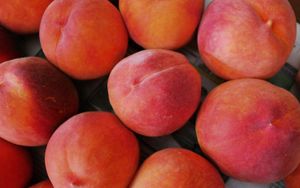 Превью обои персики, фрукты, спелый