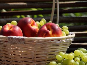 Превью обои персики, виноград, корзина, урожай
