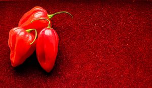 Превью обои перцы, чили, острый, красный