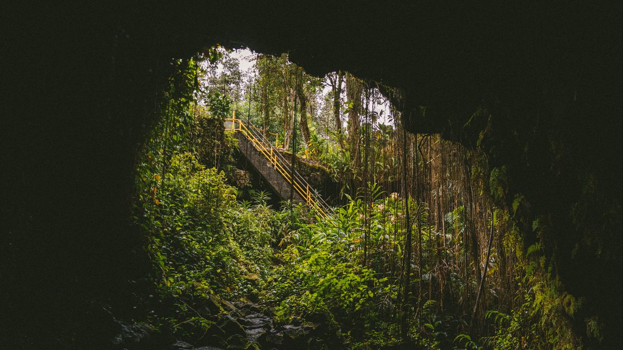 Обои пещера, темный, скала, лестница, природа