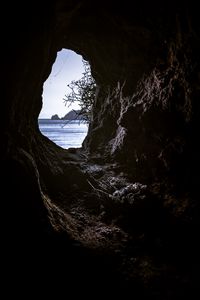 Превью обои пещера, ветки, вид, море