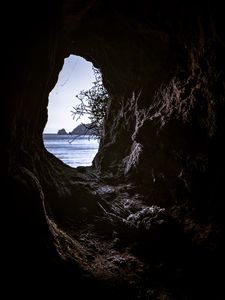 Превью обои пещера, ветки, вид, море