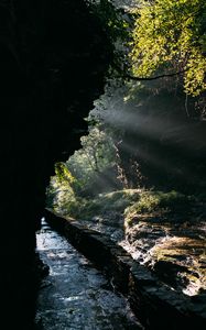 Превью обои пещера, вода, ветки, солнечный свет, темный