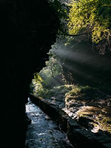 Превью обои пещера, вода, ветки, солнечный свет, темный