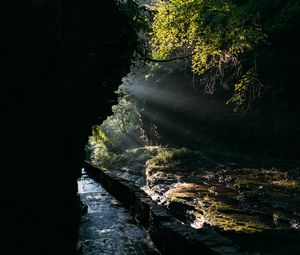 Превью обои пещера, вода, ветки, солнечный свет, темный