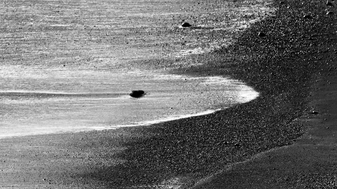Обои песок, море, берег, чб