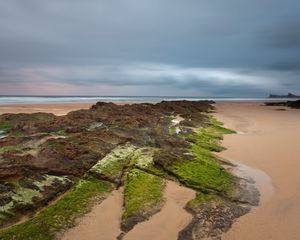 Превью обои песок, плиты, мох, берег, море, пасмурно