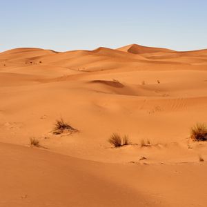 Превью обои песок, пустыня, барханы, трава