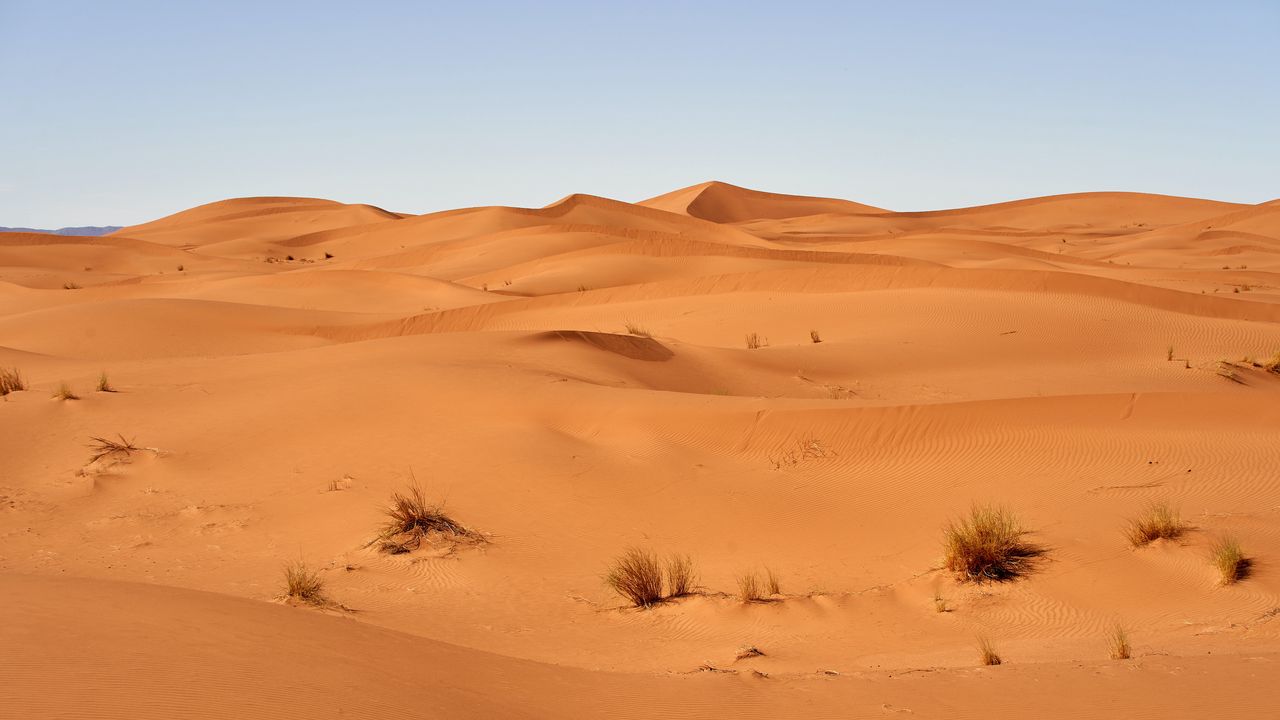 Обои песок, пустыня, барханы, трава, небо