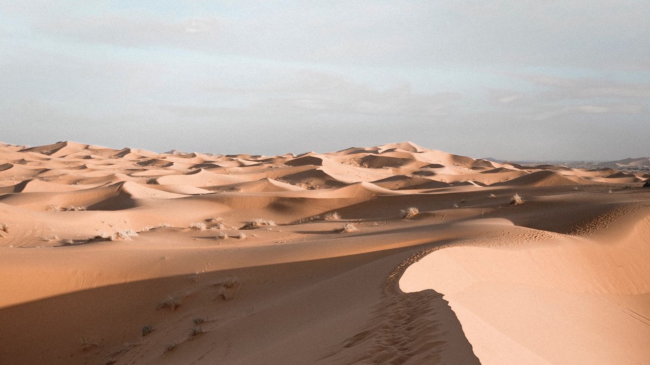 Обои песок, пустыня, барханы, небо