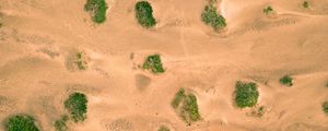 Превью обои песок, пустыня, дюны, растительность