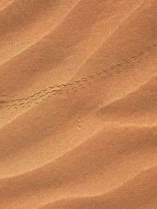 Превью обои песок, пустыня, след, барханы