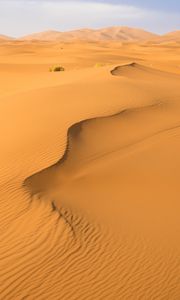 Превью обои песок, пустыня, следы, холмы, барханы