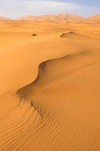 Превью обои песок, пустыня, следы, холмы, барханы