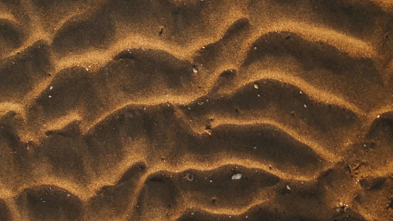 Обои песок, пустыня, волнистый, ракушки