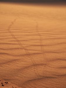 Превью обои песок, следы, пустыня, размытость