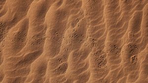 Превью обои песок, следы, пустыня, текстура