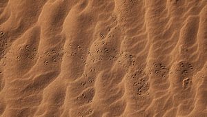 Превью обои песок, следы, пустыня, текстура