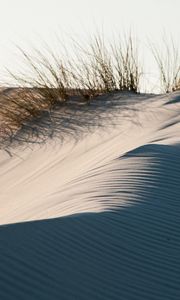 Превью обои песок, трава, пустыня, дюны