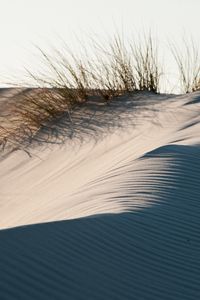 Превью обои песок, трава, пустыня, дюны