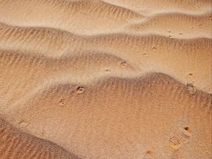 Превью обои песок, волны, следы, текстура, пустыня