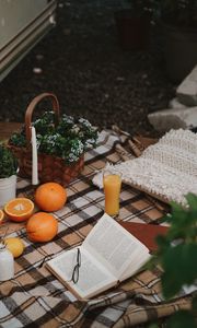Превью обои пикник, книга, апельсин, цветы