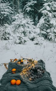 Превью обои пикник, зима, рождество, уют, настроение, лес, снег